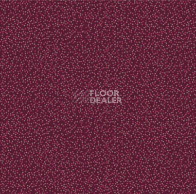 Ковролин Halbmond Classic Selection 42425 a 10 фото 1 | FLOORDEALER