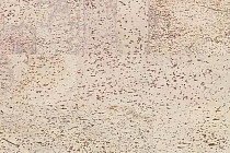 Natural Cork Fantasie Creme фото 1 | FLOORDEALER