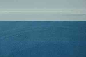 Ковролин Vorwerk Modena 3m21 фото  | FLOORDEALER