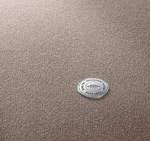 Ковролин Vorwerk Superior 1063 Vorwerk 5y20 фото 1 | FLOORDEALER
