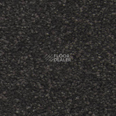 Ковролин Balsan Idylle 990 фото 1 | FLOORDEALER