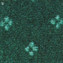 Ковролин Balta Richelieu 26  | FLOORDEALER