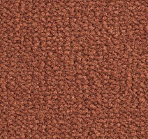 Ковролин Balsan Les Best III Les Best III 565 фото 1 | FLOORDEALER