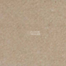 Ковролин Shaw all That Jazz 21148 фото 1 | FLOORDEALER