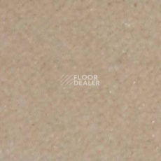 Ковролин Shaw all That Jazz 21148 фото 1 | FLOORDEALER