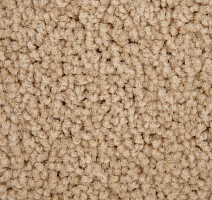 Haima Noble 41 фото 3 | FLOORDEALER