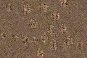Ковролин Balsan Calanques 661 фото  | FLOORDEALER