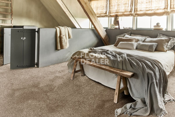 Ковролин AW Invictus Romelus / Ромелус 35 фото 2 | FLOORDEALER