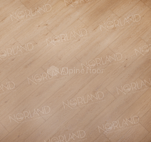 Norland Sigrid Superior 8мм Eli 1008-6 ABA фото 3 | FLOORDEALER