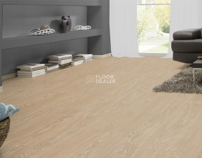 My Floor Cottage 8мм mv854 Дуб Турин фото 6 | FLOORDEALER