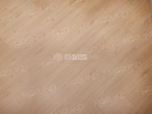 Norland Sigrid Superior 8мм Eli 1008-6 ABA фото 3 | FLOORDEALER