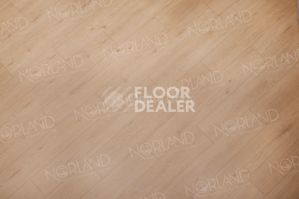 Виниловая плитка ПВХ Norland Sigrid Superior 8мм Eli 1008-6 ABA фото 2 | FLOORDEALER