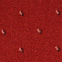 Ковролин Condor Carpets Africa 235  | FLOORDEALER