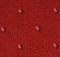 Ковролин Condor Carpets Africa 235 фото 1 | FLOORDEALER