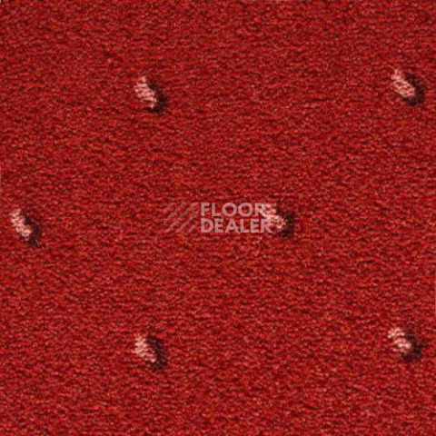 Ковролин Condor Carpets Africa 235 фото 1 | FLOORDEALER