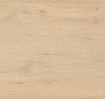 Линолеум Taralay Initial Compact (wood) 0978 Twist Blond фото 1 | FLOORDEALER
