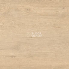 Линолеум Taralay Initial Compact (wood) 0978 Twist Blond фото 1 | FLOORDEALER