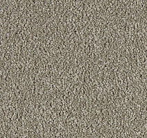 Ковролин Lano Soft Perfection 272 фото 1 | FLOORDEALER