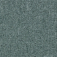 Ковролин Salisbury Beaulieu of America 226 фото 1 | FLOORDEALER