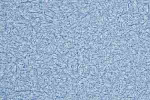 Линолеум Novoflor Extra Ideal 2800-4 фото  | FLOORDEALER