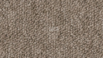 Ковровая плитка DESSO Airmaster Tierra 2923 фото 1 | FLOORDEALER