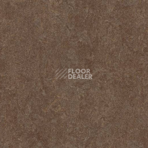 Линолеум Forbo Marmoleum Decibel 387435 фото 1 | FLOORDEALER