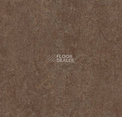 Линолеум Forbo Marmoleum Decibel 387435 фото 1 | FLOORDEALER