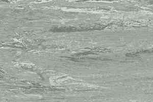 Линолеум Polyflor Sd 5030 фото  | FLOORDEALER