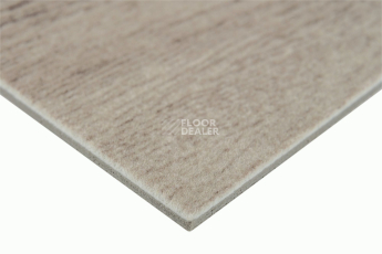 Toronto 1757 230 фото 4 | FLOORDEALER