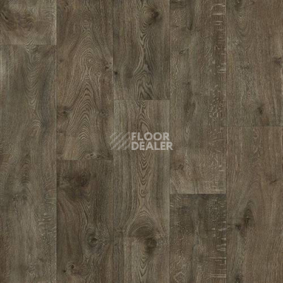 Линолеум Juteks Imperator TEXAS 5902 фото 1 | FLOORDEALER
