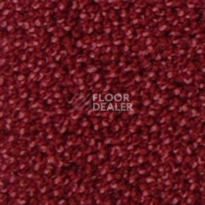 Ковролин Infloor Campino 140 фото 1 | FLOORDEALER