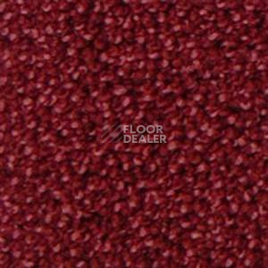 Ковролин Infloor Campino 140 фото 1 | FLOORDEALER