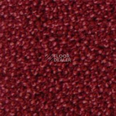 Ковролин Infloor Campino 140 фото 1 | FLOORDEALER