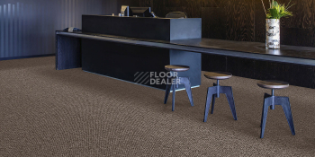Associated Weavers Maxima 37 фото 2 | FLOORDEALER