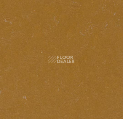 Линолеум Forbo Marmoleum Неожиданная природа 3564 фото 1 | FLOORDEALER