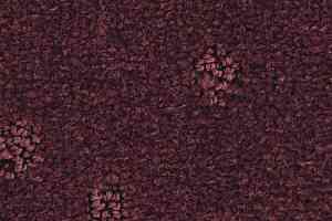 Ковролин Balsan Atoll 881 фото  | FLOORDEALER