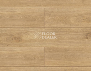 Ламинат Kronopol Platinium Terra AQUA BLOCK 8mm Kronopol Platinium Terra Aqua Block 24h Дуб ди Треви D4917 фото 1 | FLOORDEALER