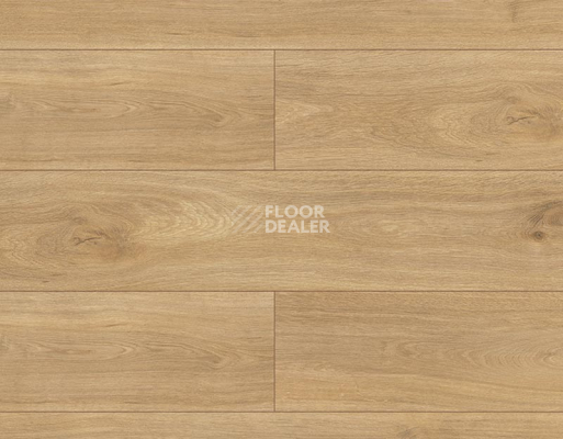Ламинат Kronopol Platinium Terra AQUA BLOCK 8mm Kronopol Platinium Terra Aqua Block 24h Дуб ди Треви D4917 фото 1 | FLOORDEALER