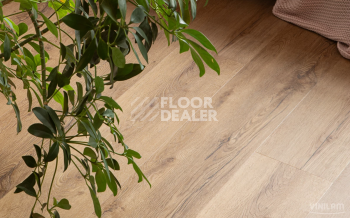 Vinilam Glue Luxury 2.5мм 33808 Дуб Витория Glue фото 5 | FLOORDEALER