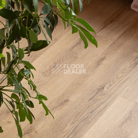 Vinilam Glue Luxury 2.5мм 33808 Дуб Витория Glue фото 5 | FLOORDEALER