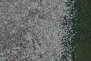 Ковровая плитка Interface Urban Retreat One 101/102/103 ur 101 327115 Stone / Ivy фото  | FLOORDEALER