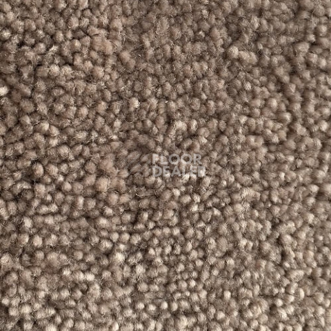 Ковролин Condor Carpets Bentley Bentley 112 фото 1 | FLOORDEALER