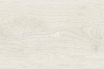 Пробковое покрытие Wood замковое OAK POLAR WHITE фото 1 | FLOORDEALER