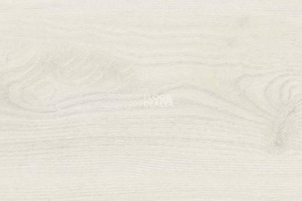 Пробковое покрытие Wood замковое OAK POLAR WHITE фото 1 | FLOORDEALER