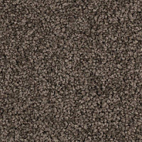 Ковровая плитка Balsan Serenite Sonic Confort 771 фото 1 | FLOORDEALER