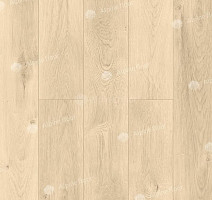 Кварцвиниловые полы Alpine Floor Premium XL Дуб песчаный ECO 7-10 фото 1 | FLOORDEALER
