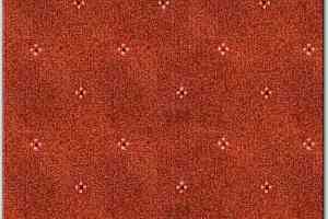 Ковролин AW Animo AW Animo 88 фото  | FLOORDEALER