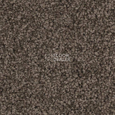 Ковровая плитка Balsan Serenite Sonic Confort 771 фото 1 | FLOORDEALER