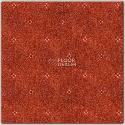 Ковролин AW Animo AW Animo 88 фото 1 | FLOORDEALER