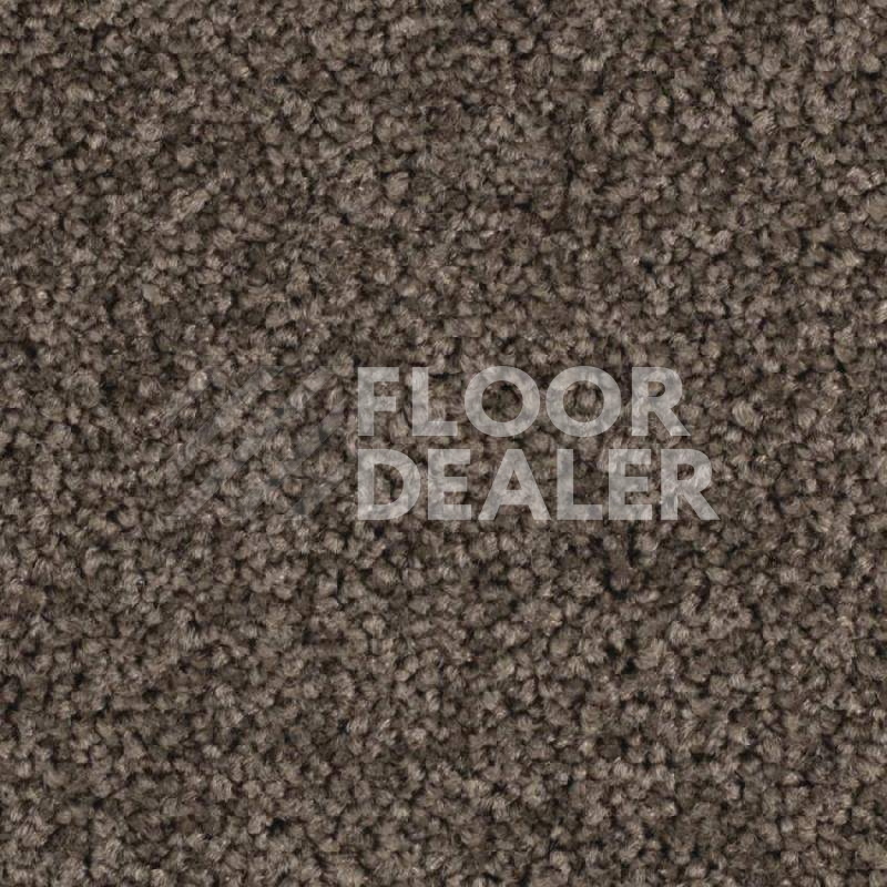 Ковровая плитка Balsan Serenite Sonic Confort 771 фото 1 | FLOORDEALER